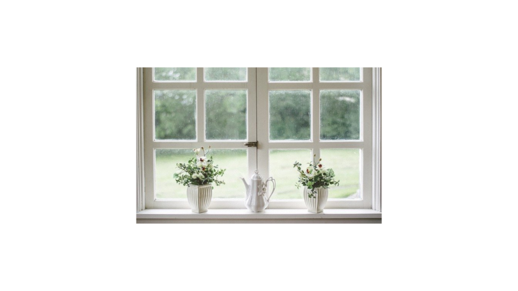 fenetre renovation